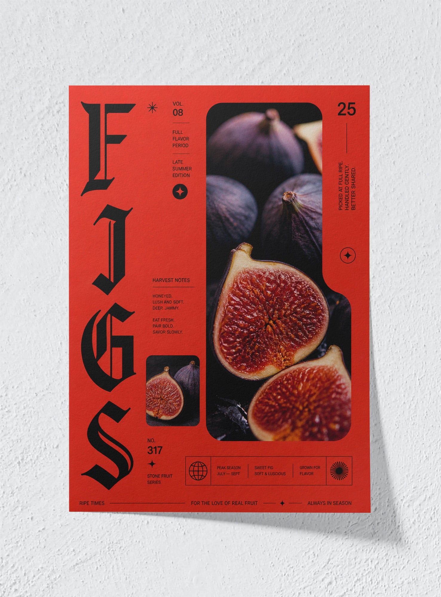 CAPSAICIN - Unframed