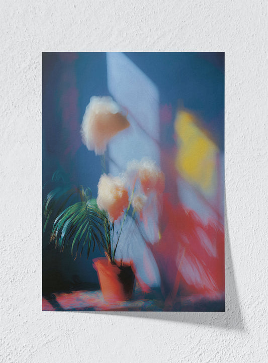PRISMATIC STILL LIFE - Unframed