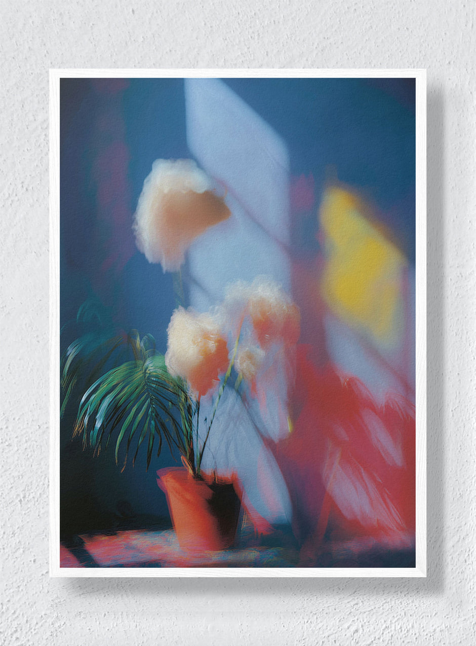 PRISMATIC STILL LIFE - White Frame