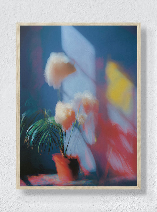 PRISMATIC STILL LIFE - Natural Frame