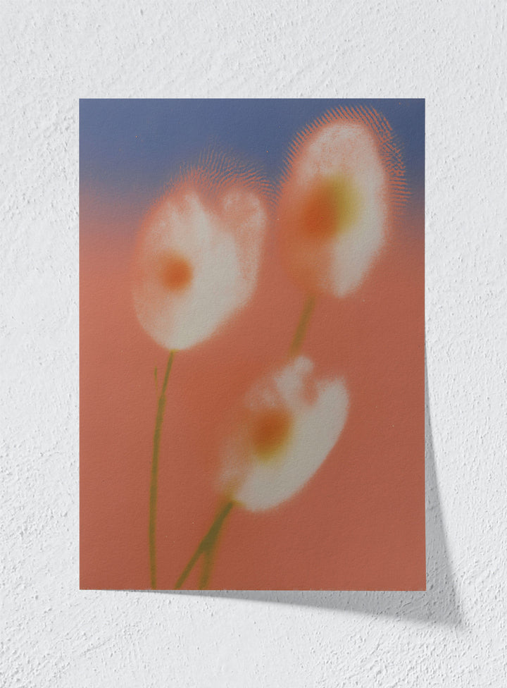 PEACH HAZE - Unframed