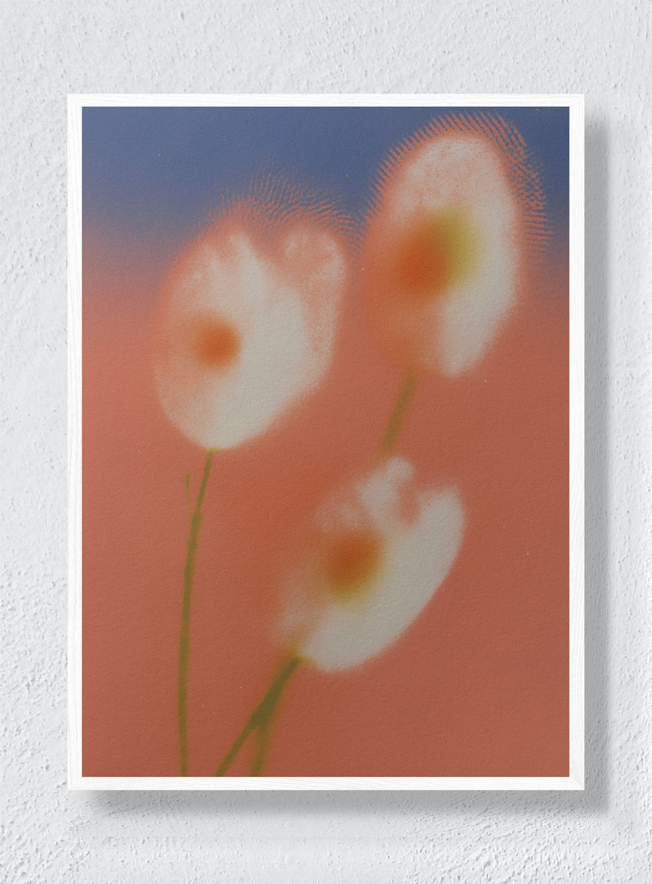 PEACH HAZE - White Frame