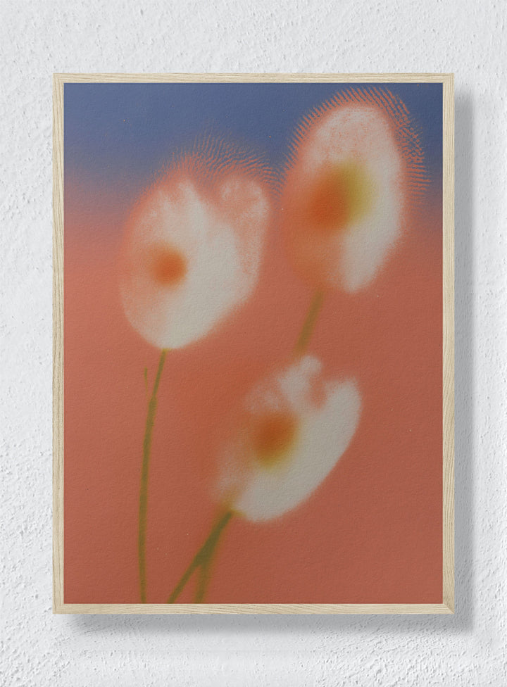 PEACH HAZE - Natural Frame