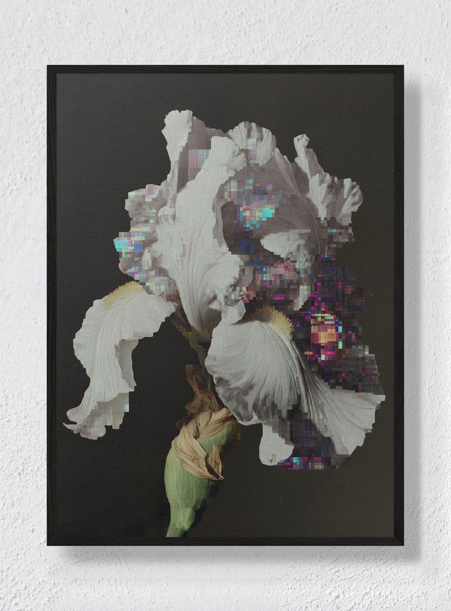 GLITCH IN THE GARDEN - Black Frame