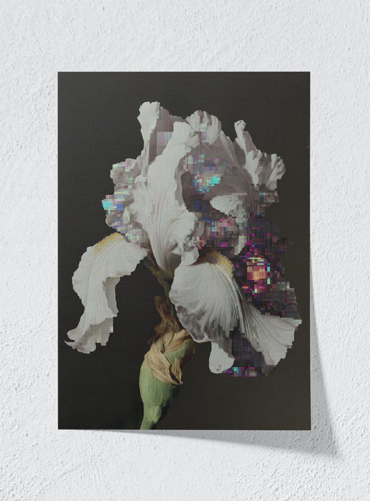 GLITCH IN THE GARDEN - Unframed