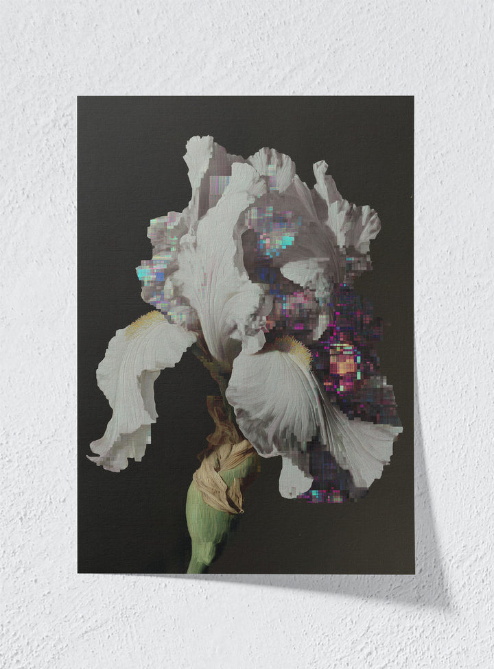 GLITCH IN THE GARDEN - Unframed