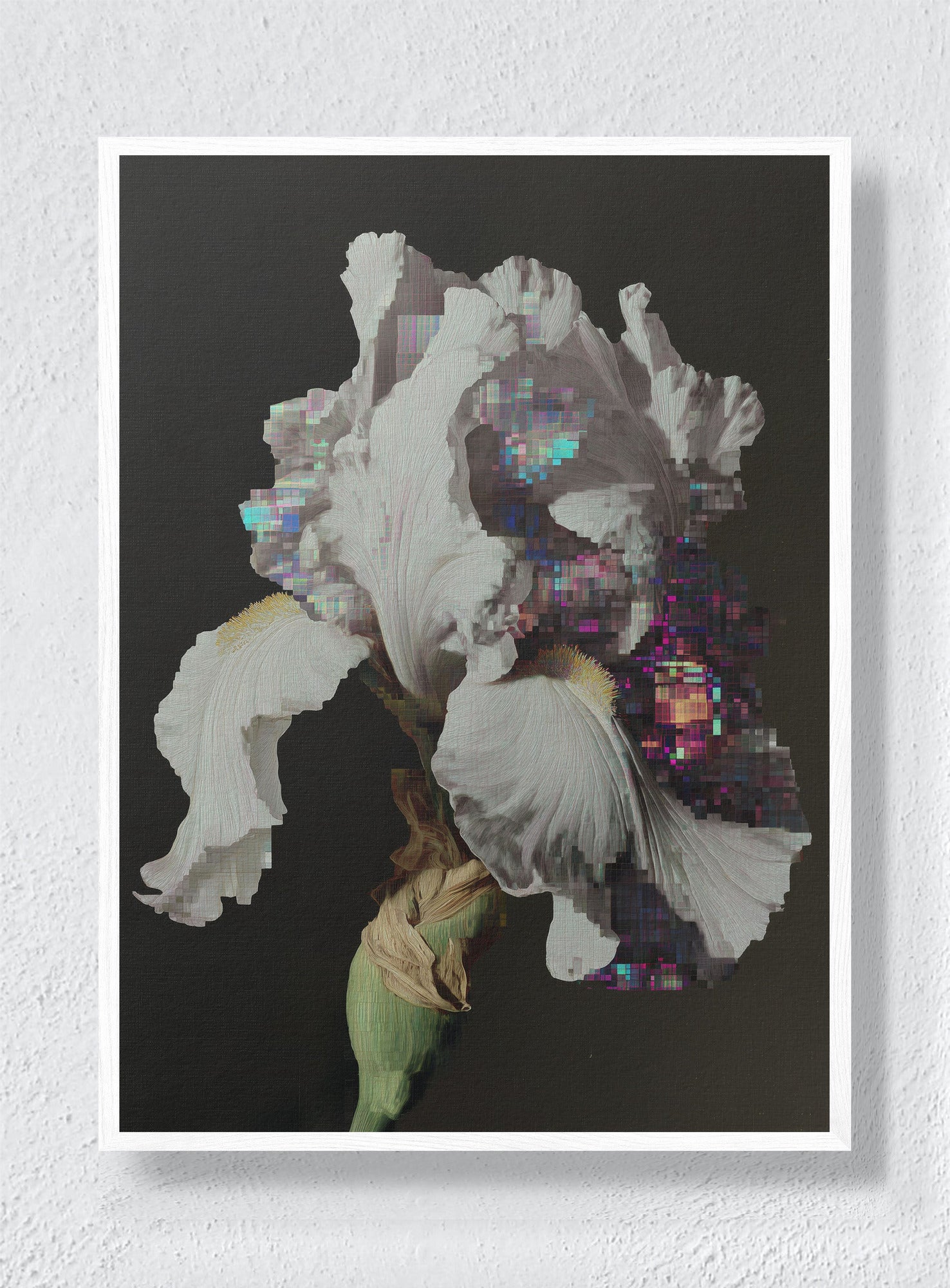 GLITCH IN THE GARDEN - White Frame
