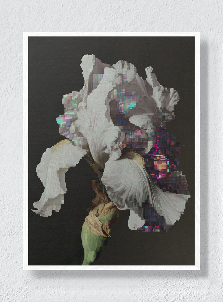 GLITCH IN THE GARDEN - White Frame