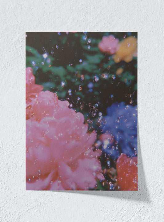 EUPHORIA - Unframed