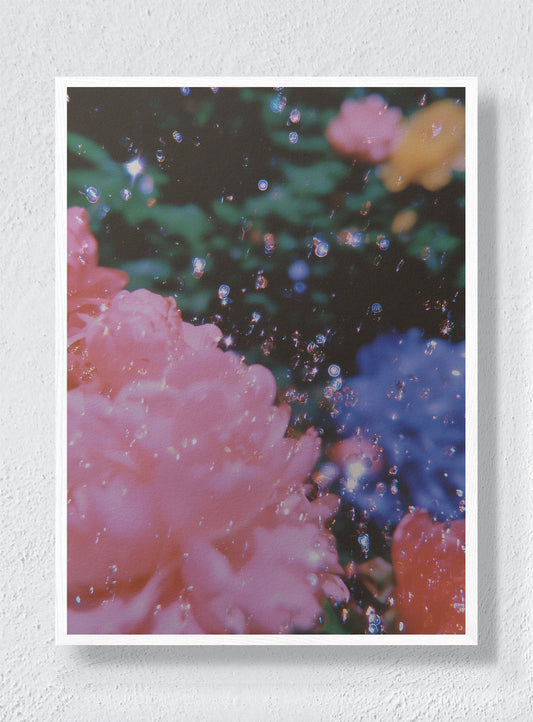 EUPHORIA - White Frame