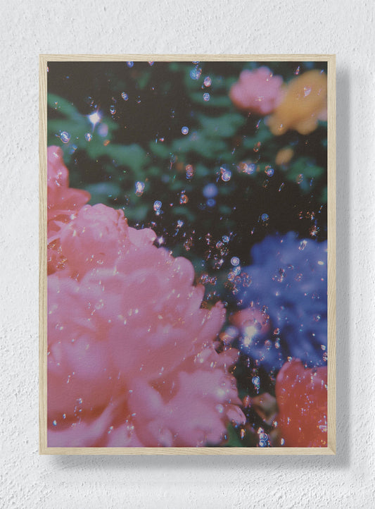EUPHORIA - Natural Frame