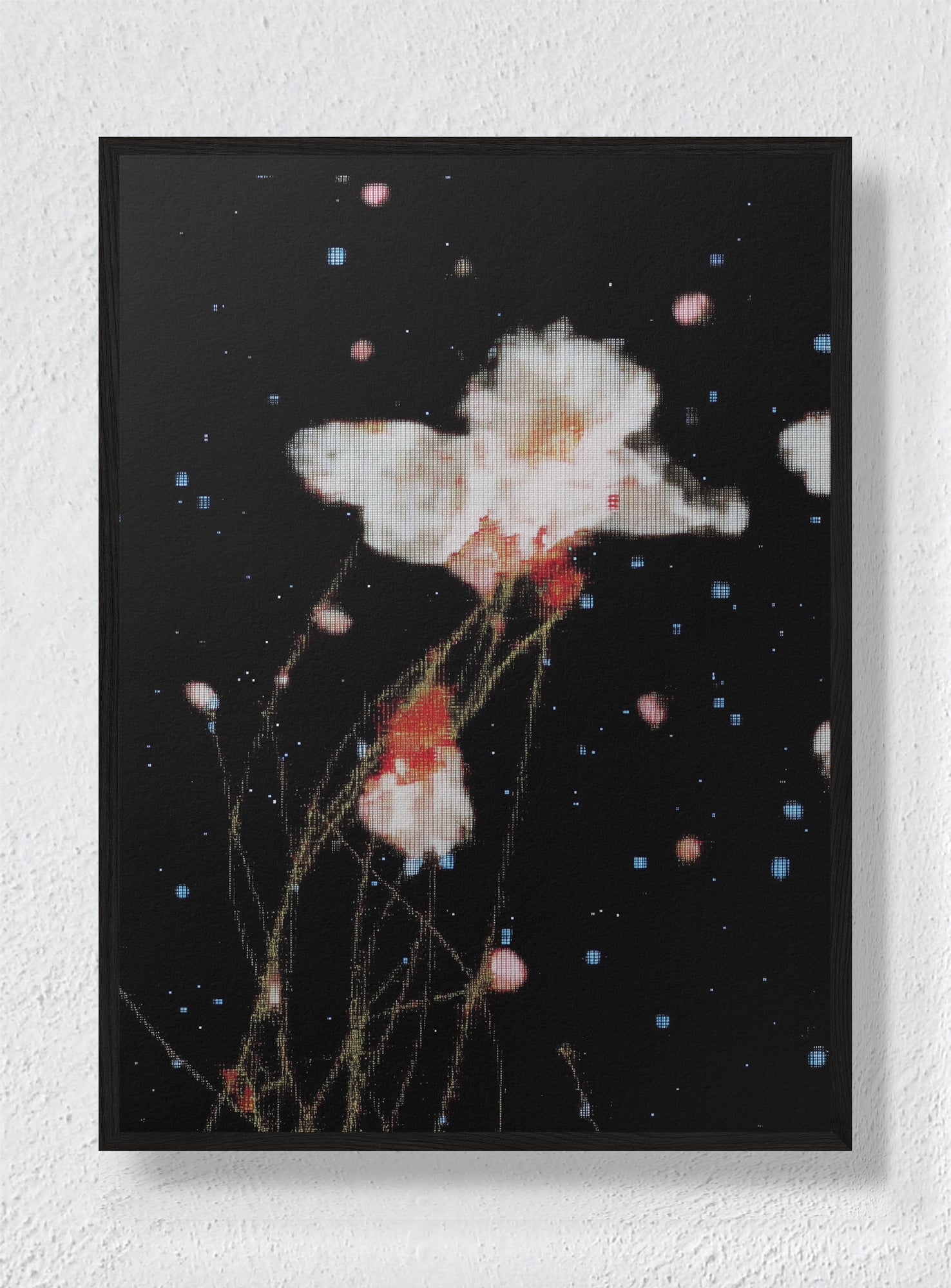 THE NIGHT GARDEN TRANSMISSION - Black Frame