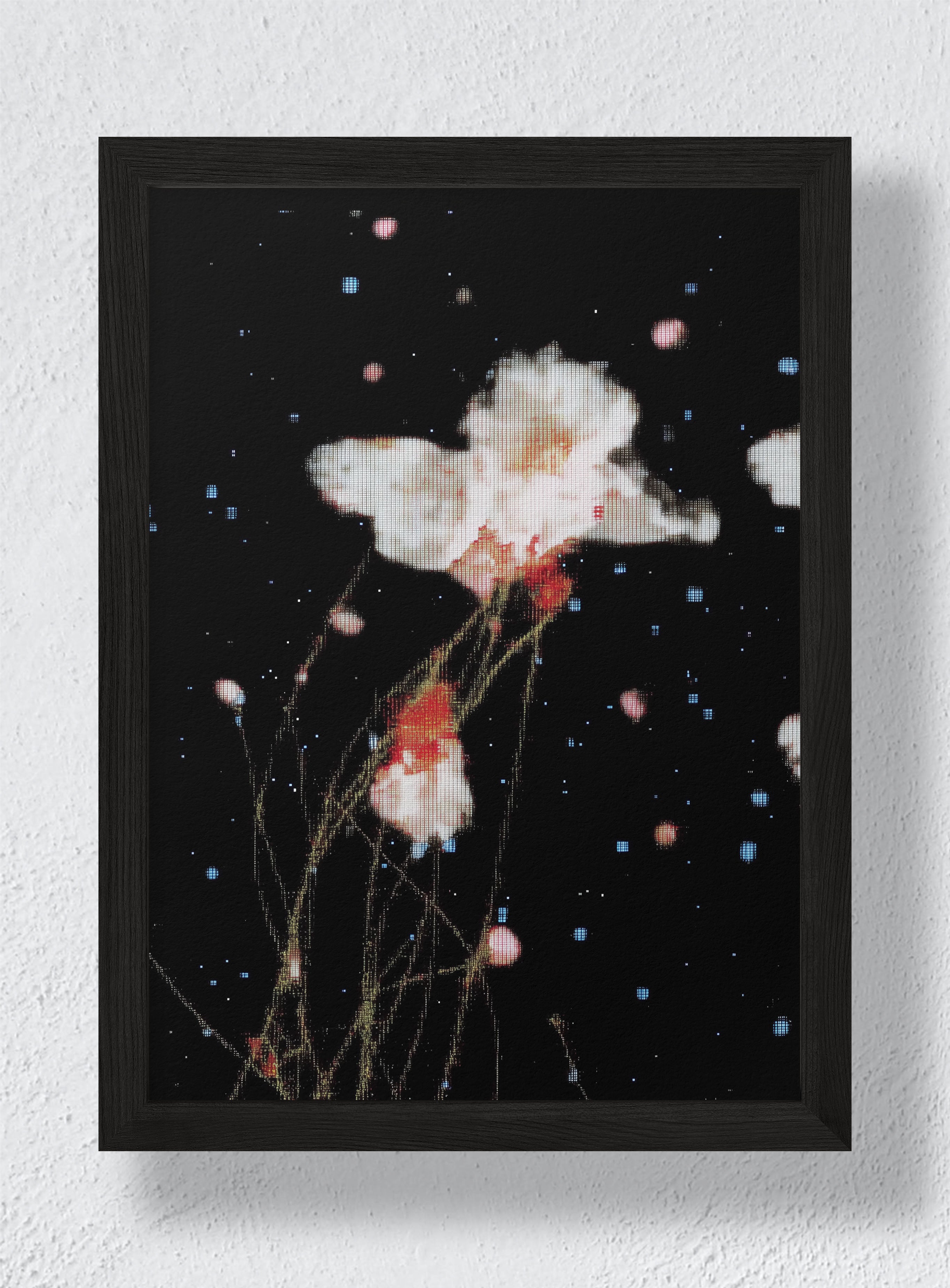 THE NIGHT GARDEN TRANSMISSION