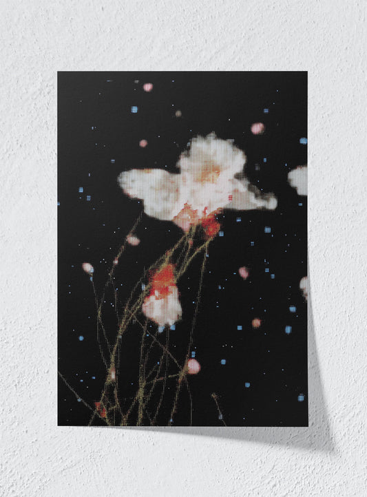 THE NIGHT GARDEN TRANSMISSION - Unframed