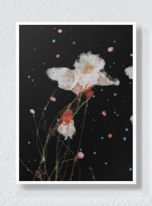 THE NIGHT GARDEN TRANSMISSION - White Frame