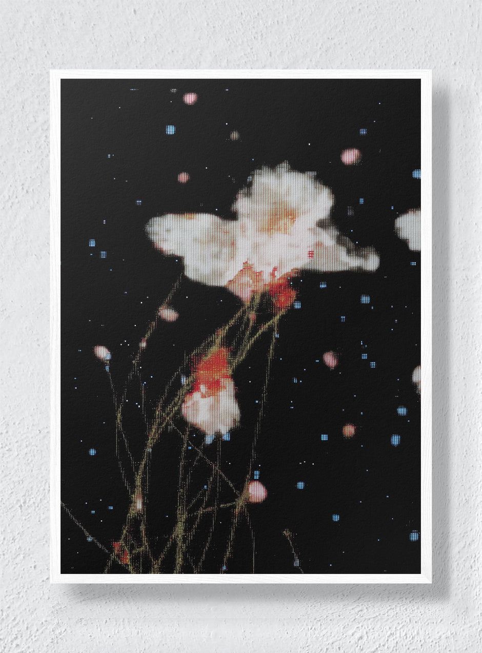 THE NIGHT GARDEN TRANSMISSION - White Frame