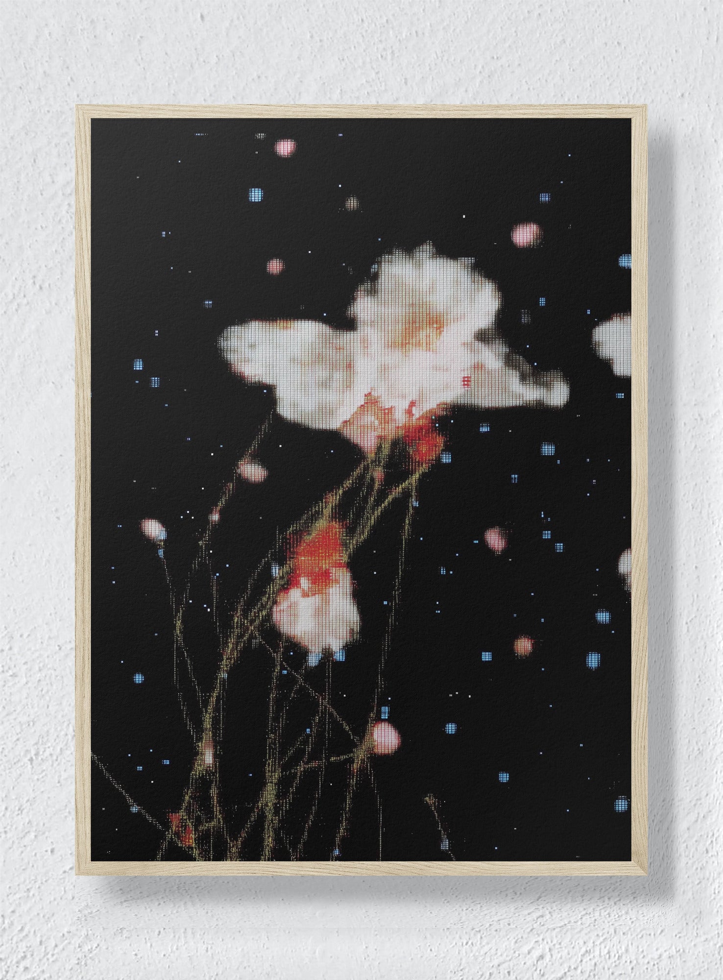 THE NIGHT GARDEN TRANSMISSION - Natural Frame