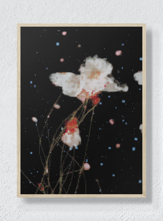 THE NIGHT GARDEN TRANSMISSION - Natural Frame