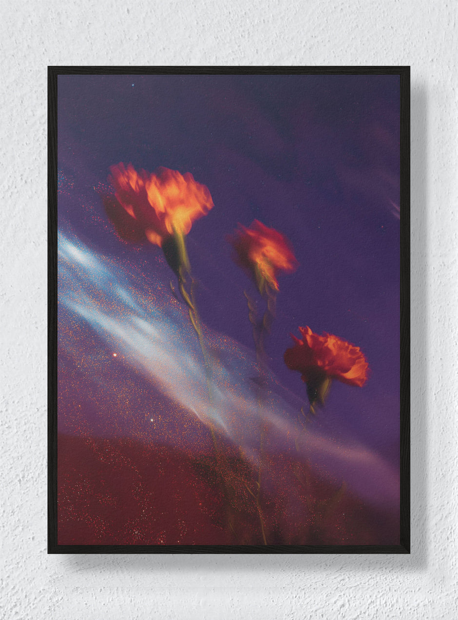 BLOOMS ADRIFT IN DARK MATTER - Black Frame