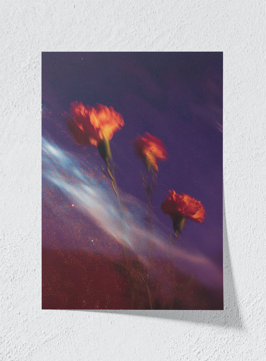 BLOOMS ADRIFT IN DARK MATTER - Unframed