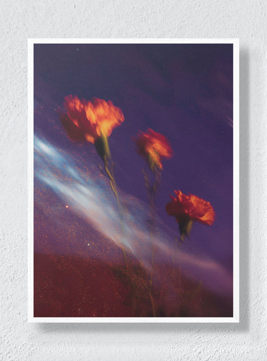 BLOOMS ADRIFT IN DARK MATTER - White Frame