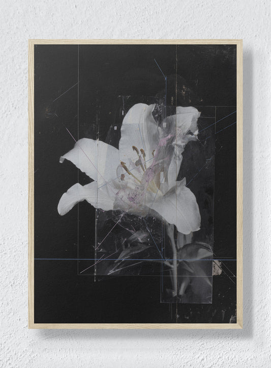 FADED MEMORY - Natural Frame