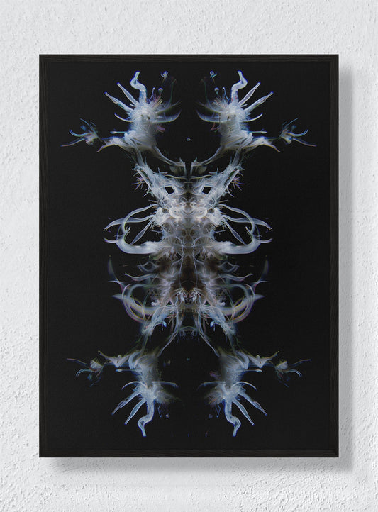 EMBA - Black Frame