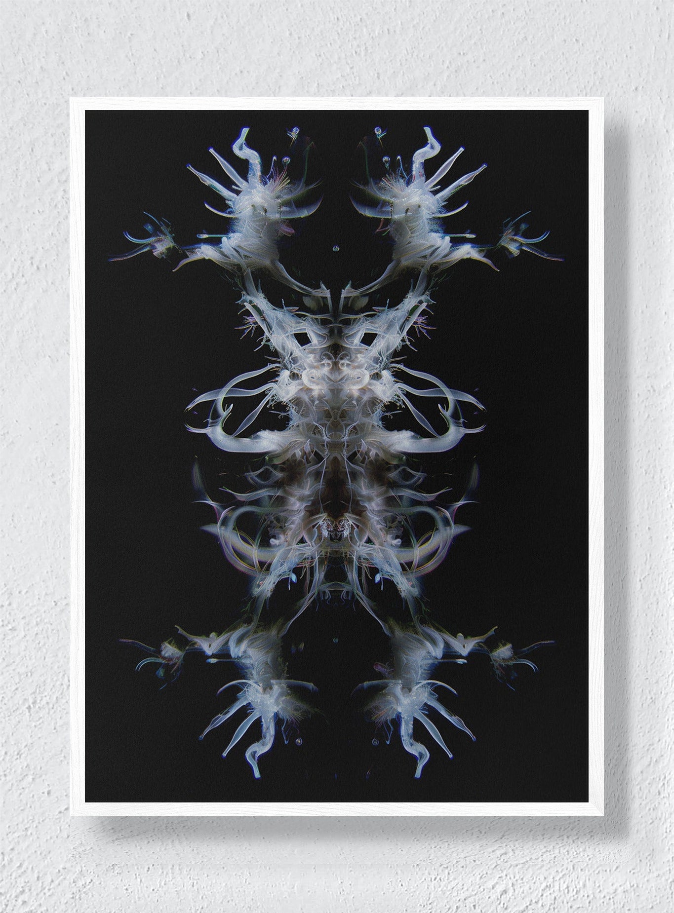 EMBA - White Frame