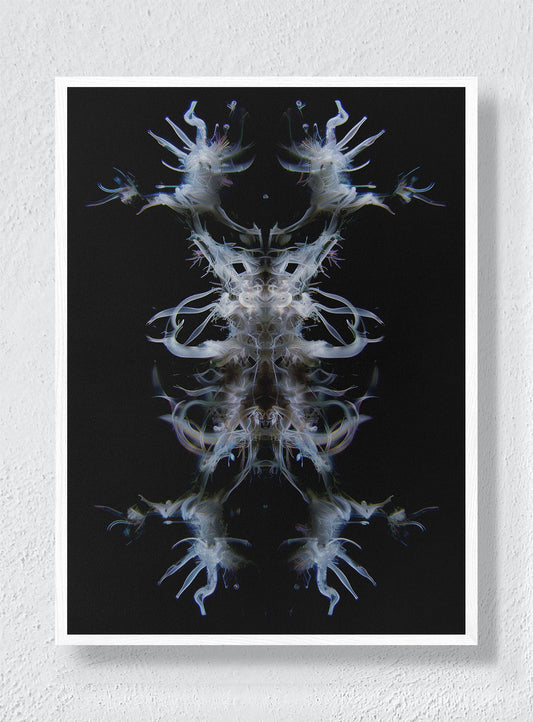 EMBA - White Frame