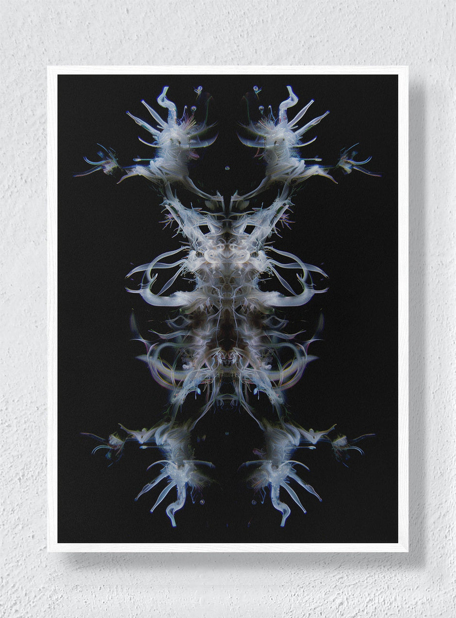 EMBA - White Frame