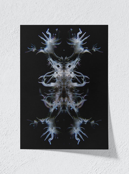 EMBA - Unframed