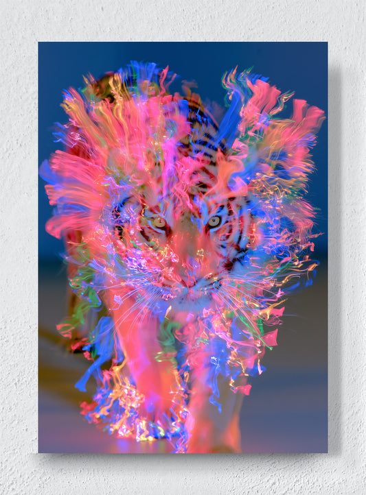 A TIGER MADE OF LIGHT - Unframed canvas