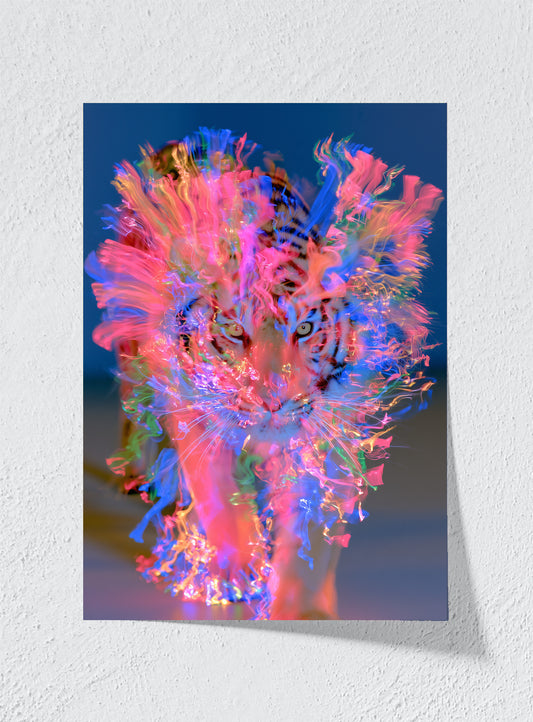 A TIGER MADE OF LIGHT - Unframed