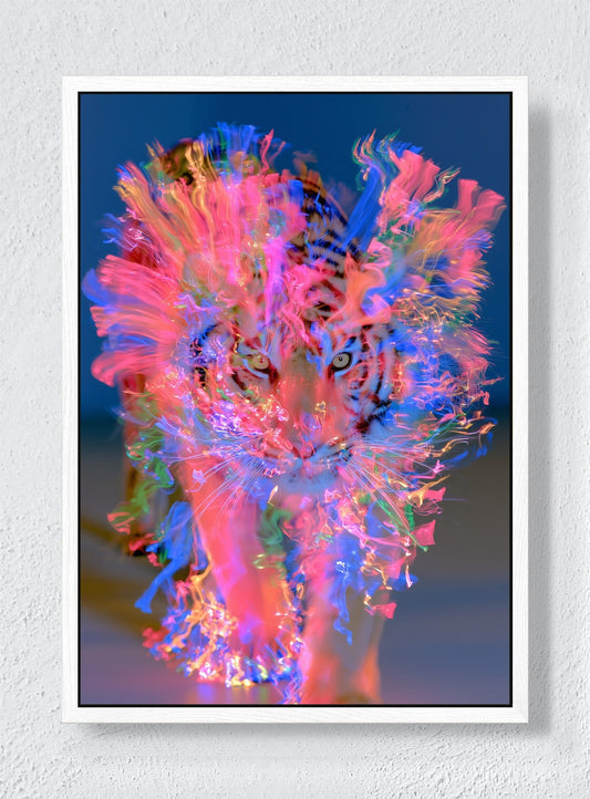 A TIGER MADE OF LIGHT - White frame canvas