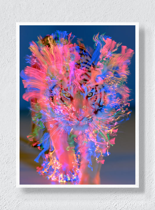 A TIGER MADE OF LIGHT - White Frame