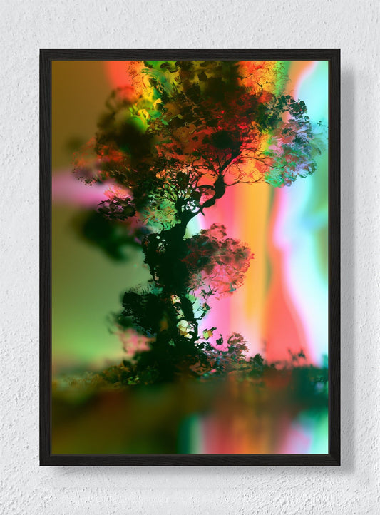 A TREE IN ANOTHER LIGHT - Black frame canvas