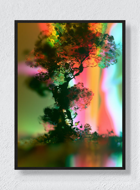 A TREE IN ANOTHER LIGHT - Black Frame