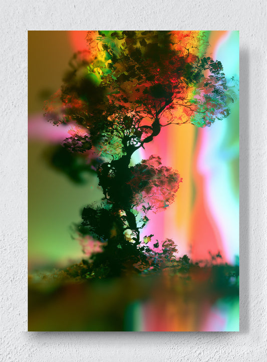 A TREE IN ANOTHER LIGHT - Unframed canvas