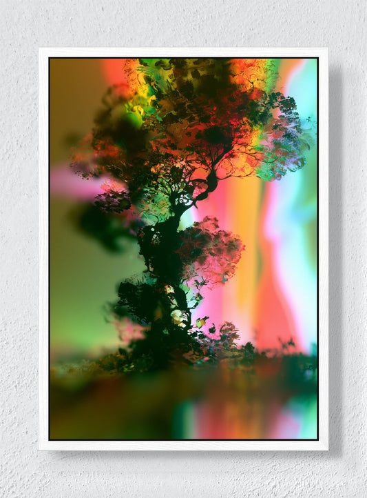 A TREE IN ANOTHER LIGHT - White frame canvas