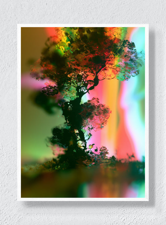 A TREE IN ANOTHER LIGHT - White Frame