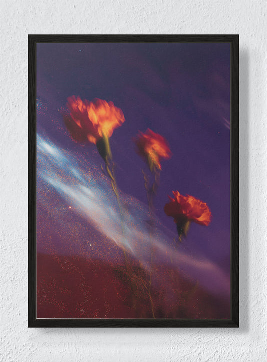 BLOOMS ADRIFT IN DARK MATTER - Black frame canvas