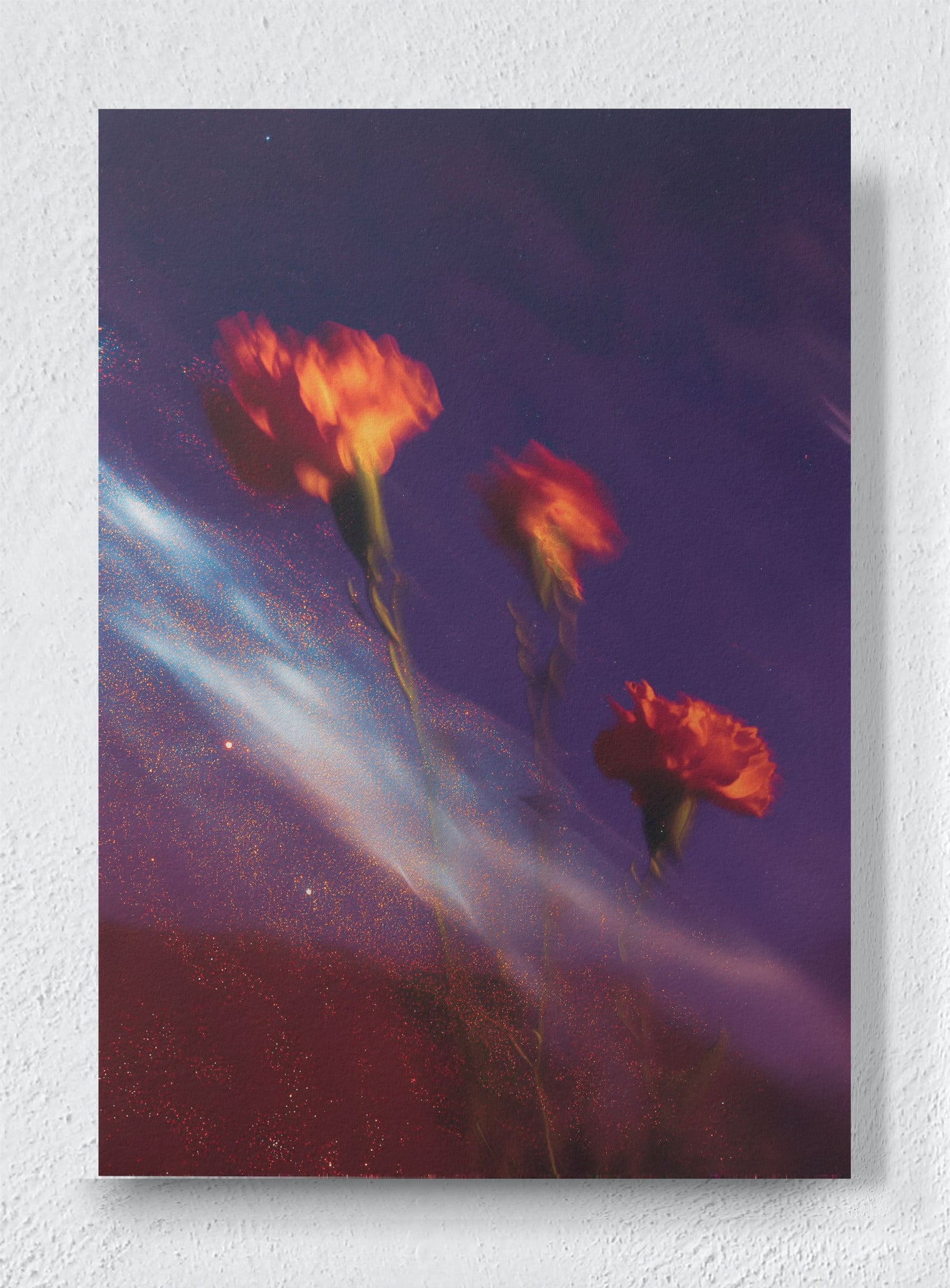 BLOOMS ADRIFT IN DARK MATTER - Unframed canvas