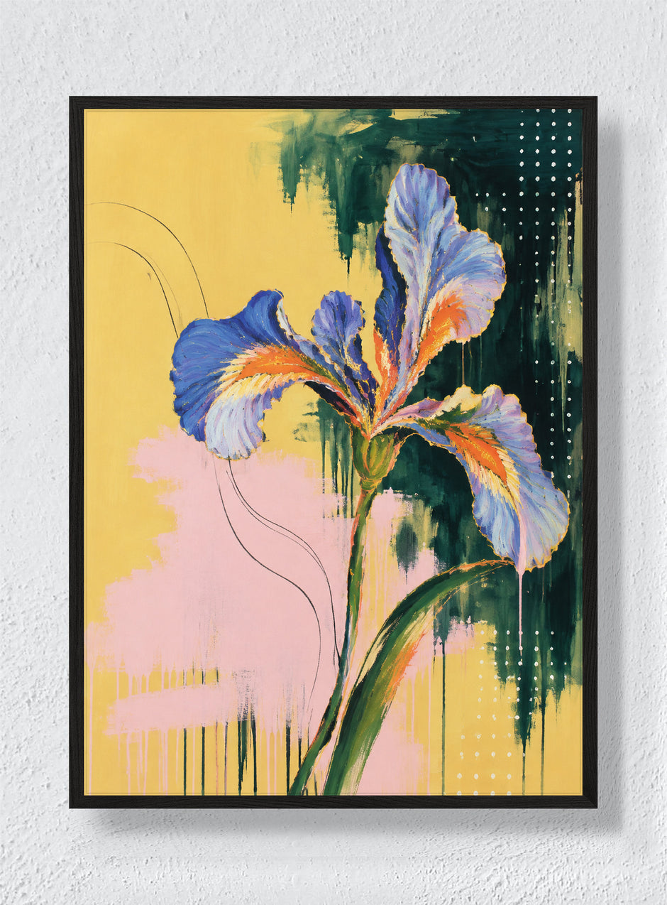 BLUE IRIS AFTER THE RAIN - Black Frame
