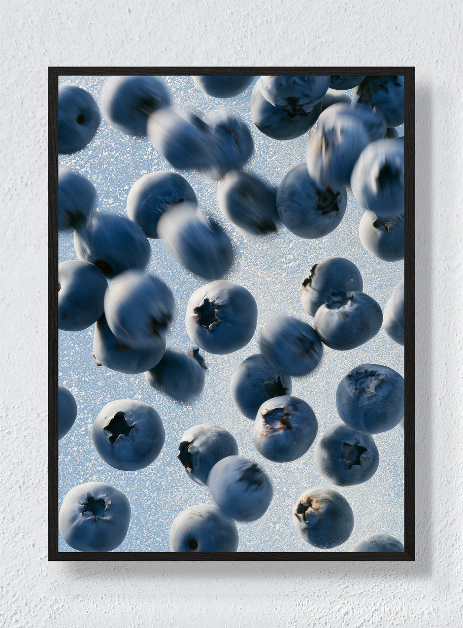 BLUEBERRIES IN FLIGHT - Black Frame