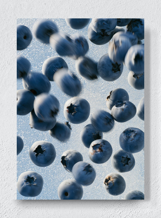 BLUEBERRIES IN FLIGHT - Unframed canvas