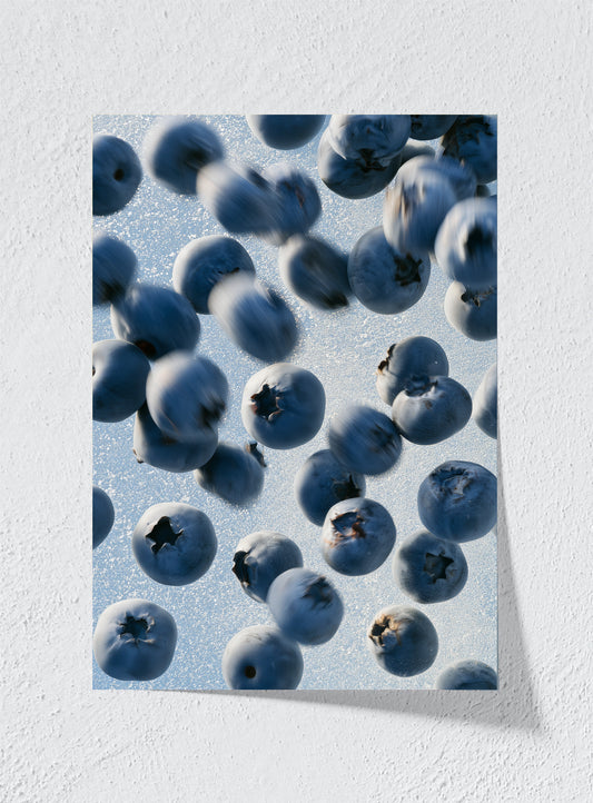 BLUEBERRIES IN FLIGHT - Unframed
