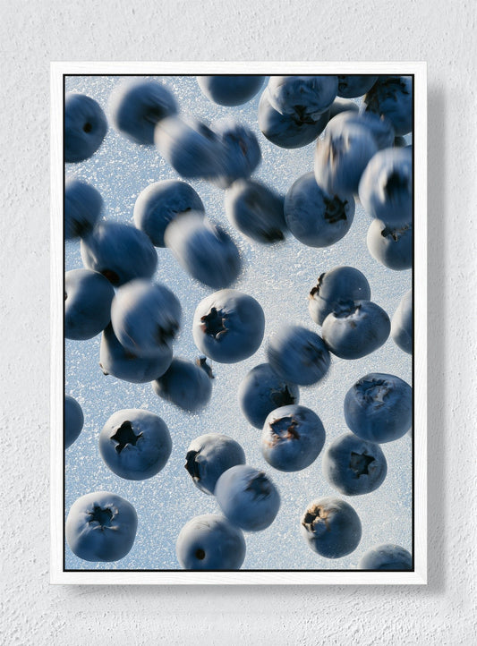 BLUEBERRIES IN FLIGHT - White frame canvas