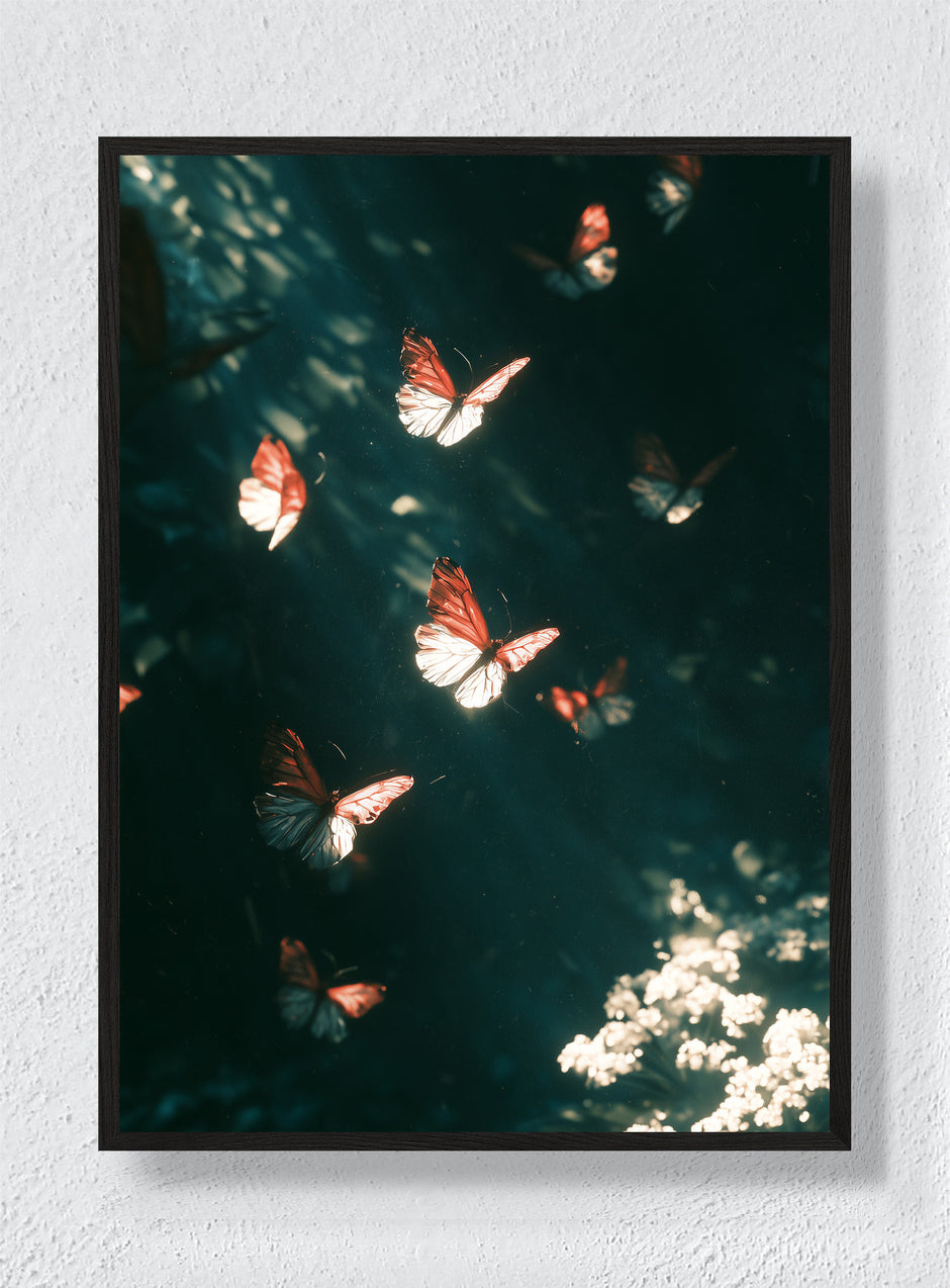 BUTTERFLIES AFTER DARK - Black Frame
