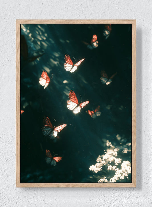 BUTTERFLIES AFTER DARK - Natural frame canvas