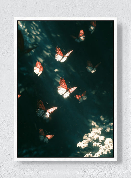BUTTERFLIES AFTER DARK - White frame canvas